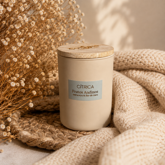 Vela Aromatica y Cosmetica Frutos Andinos