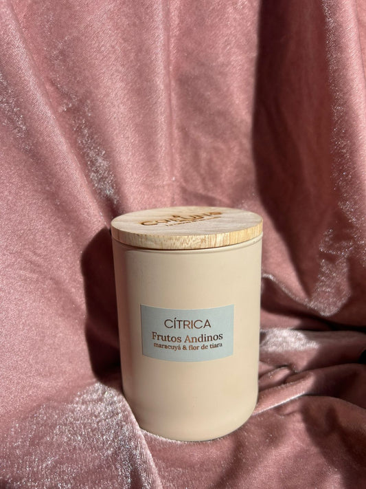 Vela Aromatica y Cosmetica Frutos Andinos