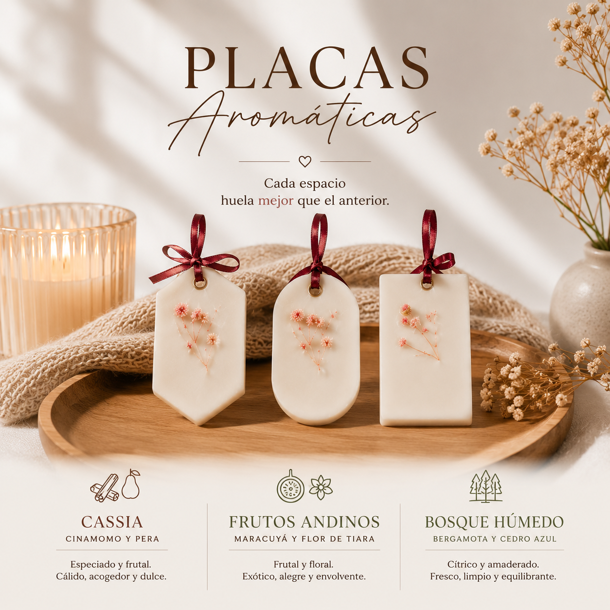 Placas Aromáticas Premium para Closet y Espacios Pequeños